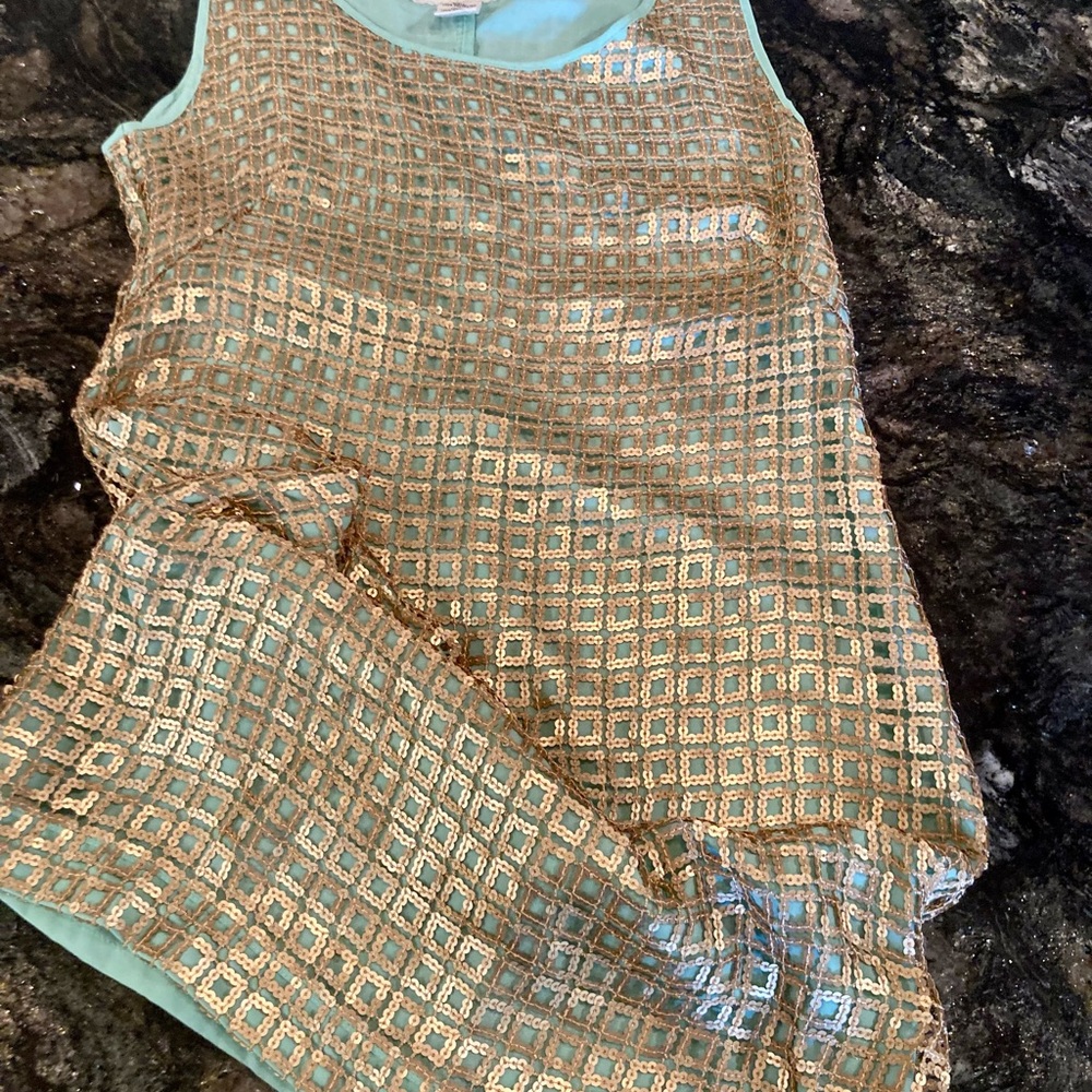 Anthropologie | Tabitha Golden Pane Shift Sequin Grid Overlay Mint Green Sz 6 - Picture 12 of 16